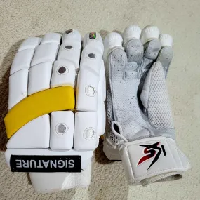 Batting Gloves - Signature Edition